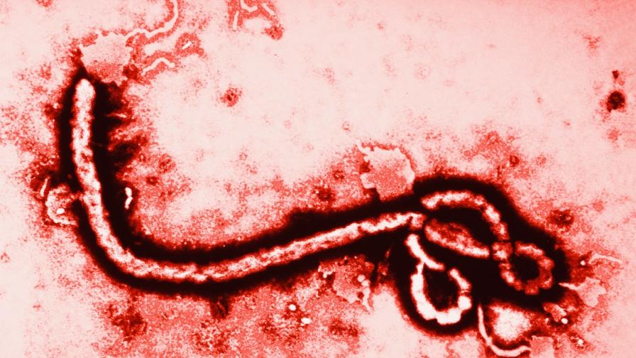 896-504-ebola.jpg