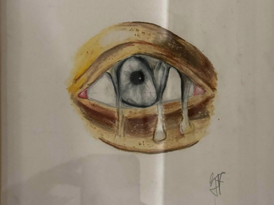 Image_12.jpeg