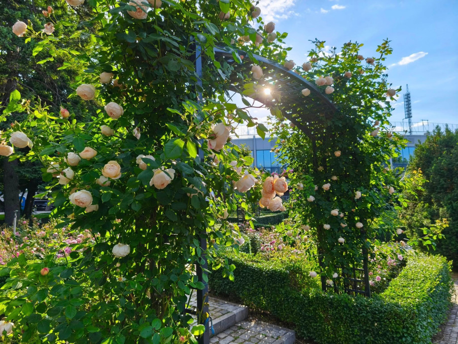 att.mBcJwP2L4ebzvAg97HMxD-s2s5n0VlkJ_6ypdTyZSEI_.jpeg